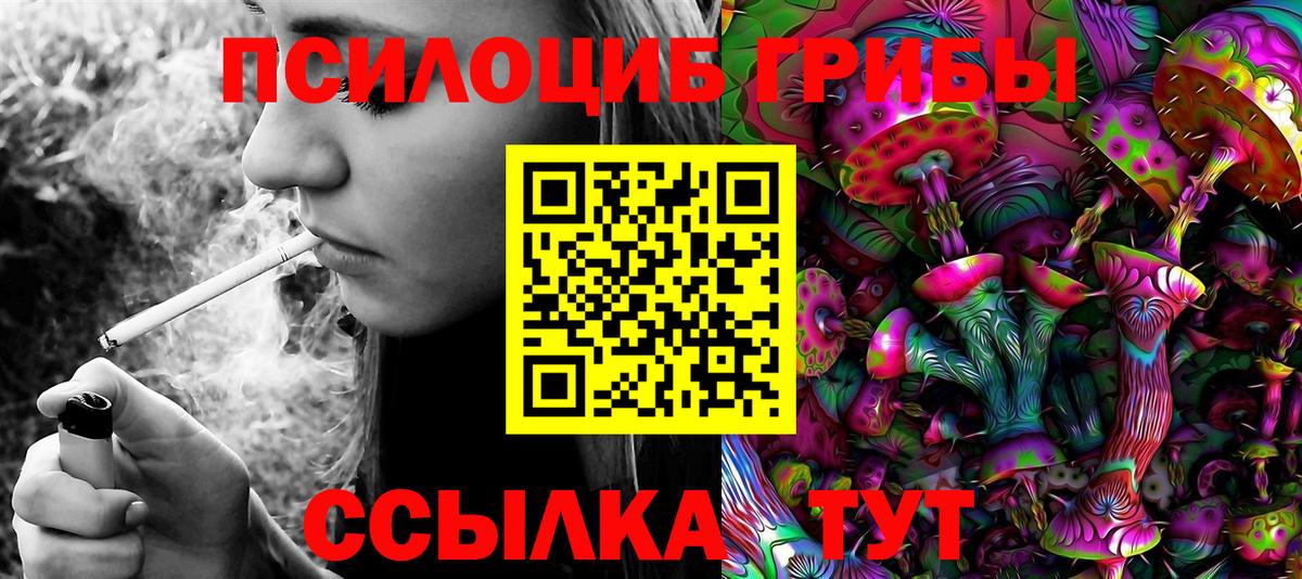 Нягань  Псилоцибиновые грибы Psilocybe  Вход с VPN 