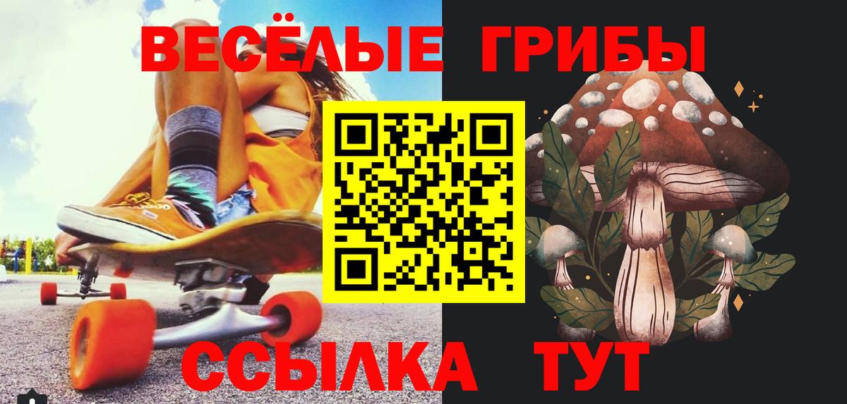 Галлюциногенные грибы Psilocybe Нягань